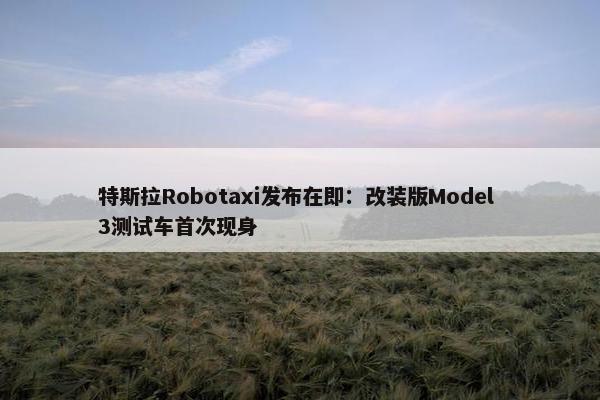 特斯拉Robotaxi发布在即：改装版Model 3测试车首次现身